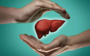 آنچه که باید درباره بیماری کبد بدانید