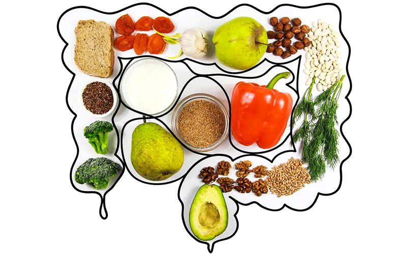 اهمیت تغذیه در سلامت روده